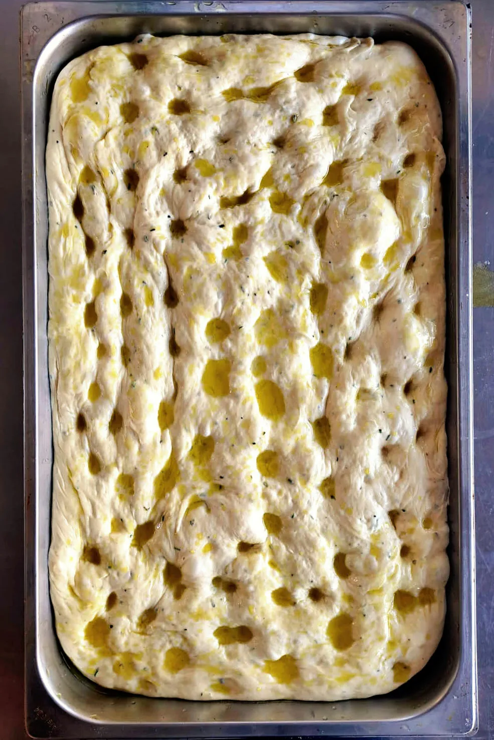 Proofed focaccia dough brushed with olive oil in a metal baking tray