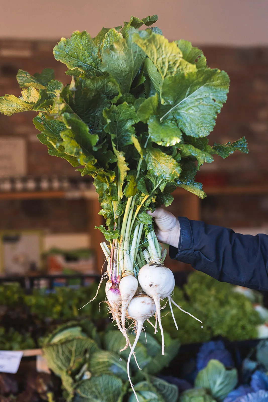 Hand holding a bunch of fresh turnips at a market stall
